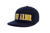 ANN ARBOR
    wool baseball cap indicator