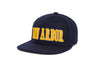 Ann Arbor 3D Chain
    wool baseball cap indicator