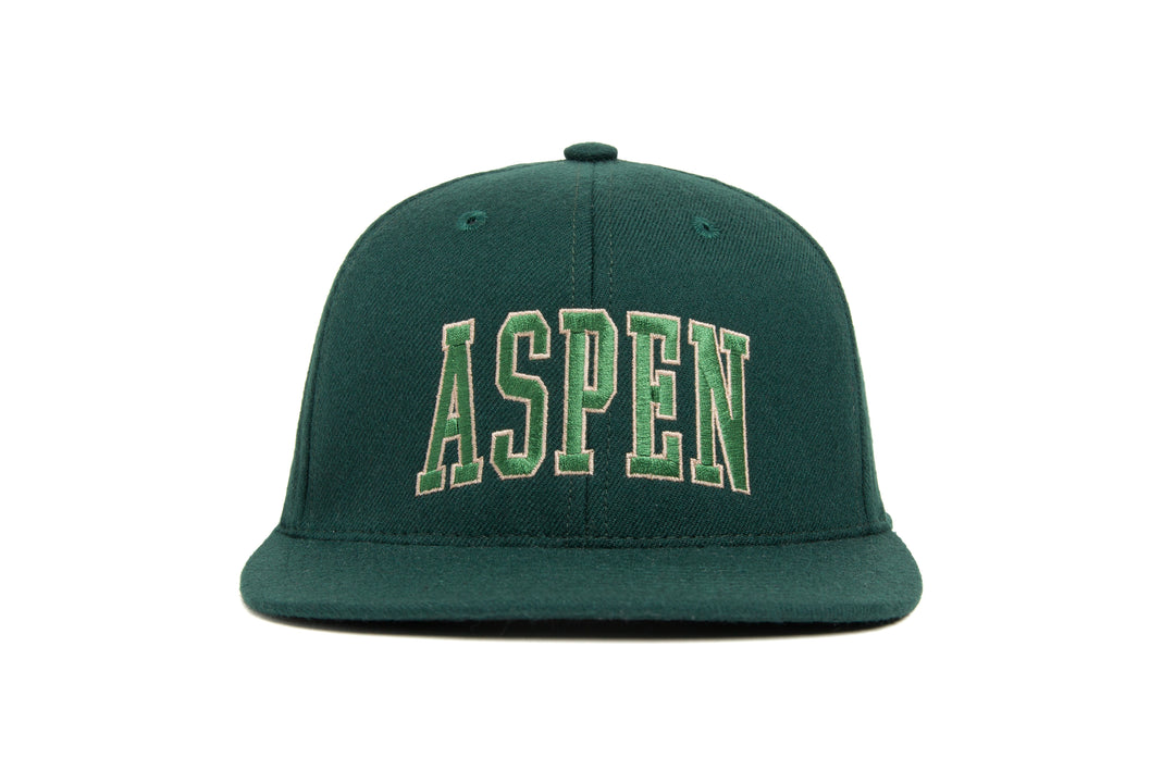 ASPEN wool baseball cap