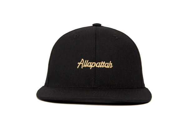 Allapattah Microscript