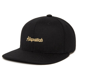 Allapattah Microscript wool baseball cap