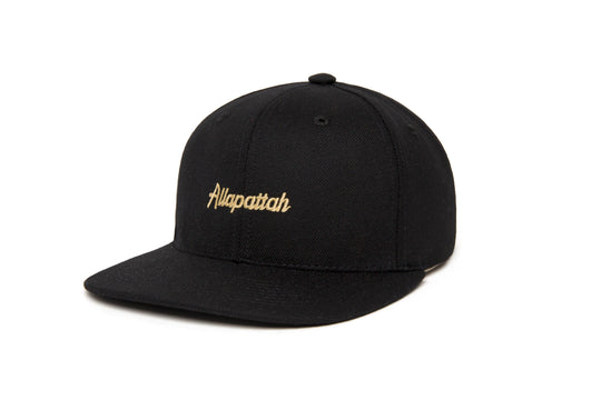 Allapattah Microscript wool baseball cap