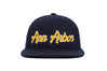 Ann Arbor Chain
    wool baseball cap indicator