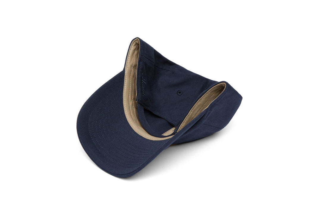 Ann Arbor Microscript Dad wool baseball cap