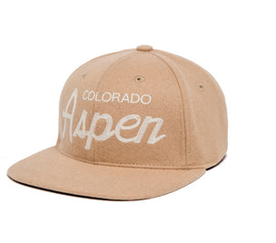 Aspen Cashmere wool baseball cap