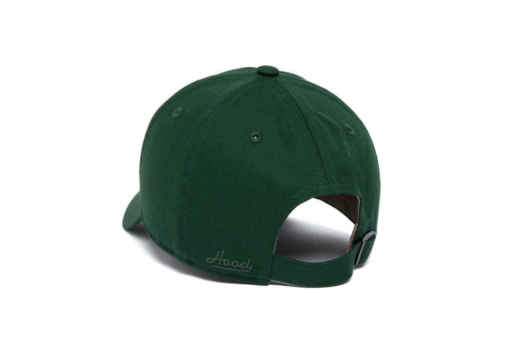 Aspen Microscript Dad wool baseball cap