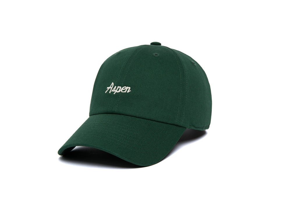 Aspen Microscript Dad