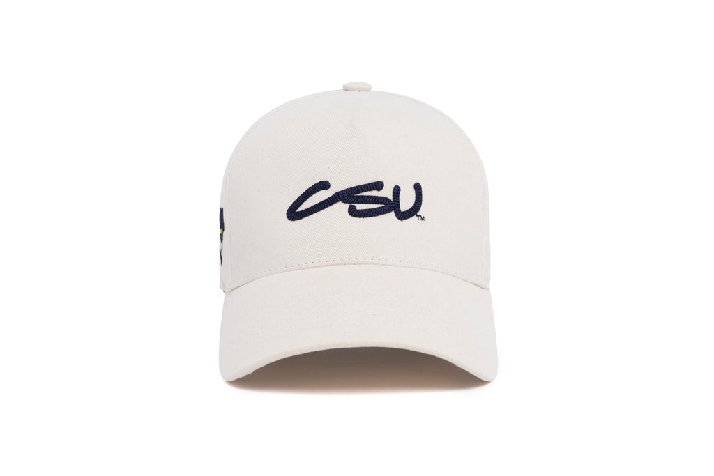 CHARLESTON SOUTHERN Neutra 3D Chain Brushed Twill 5-Panel