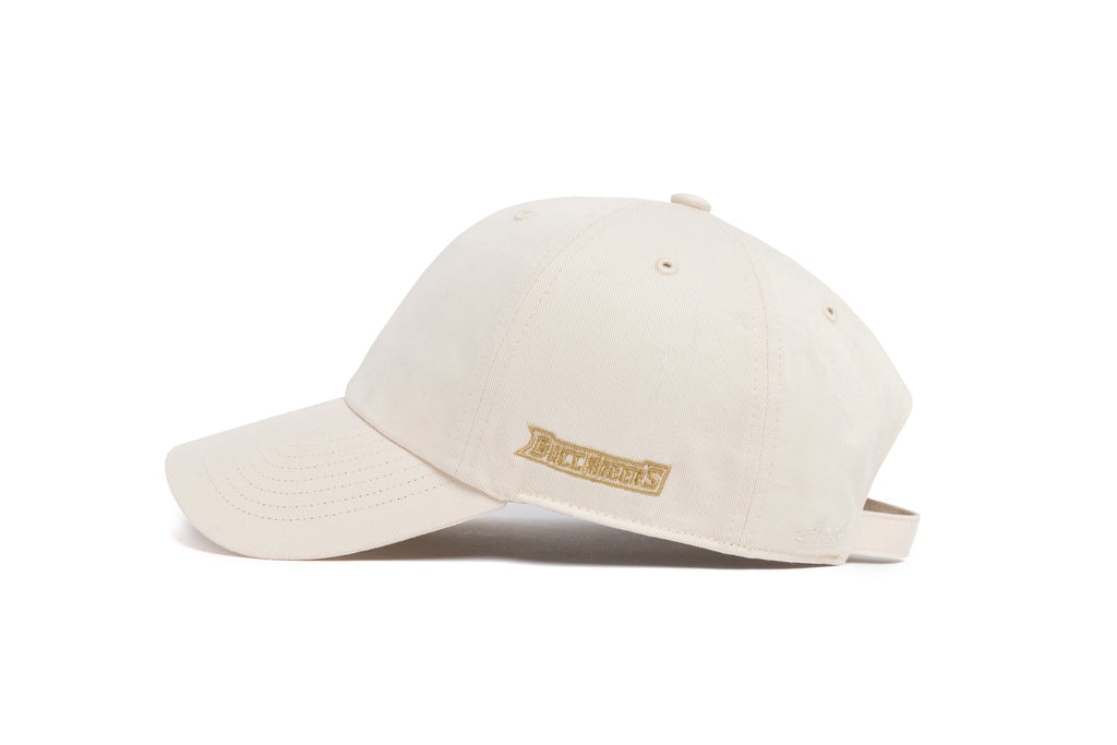 CHARLESTON SOUTHERN Offset Logo Dad