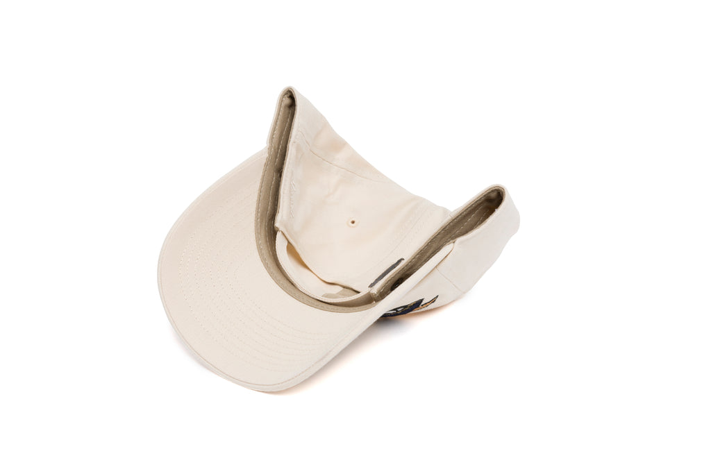 CHARLESTON SOUTHERN Offset Logo Dad