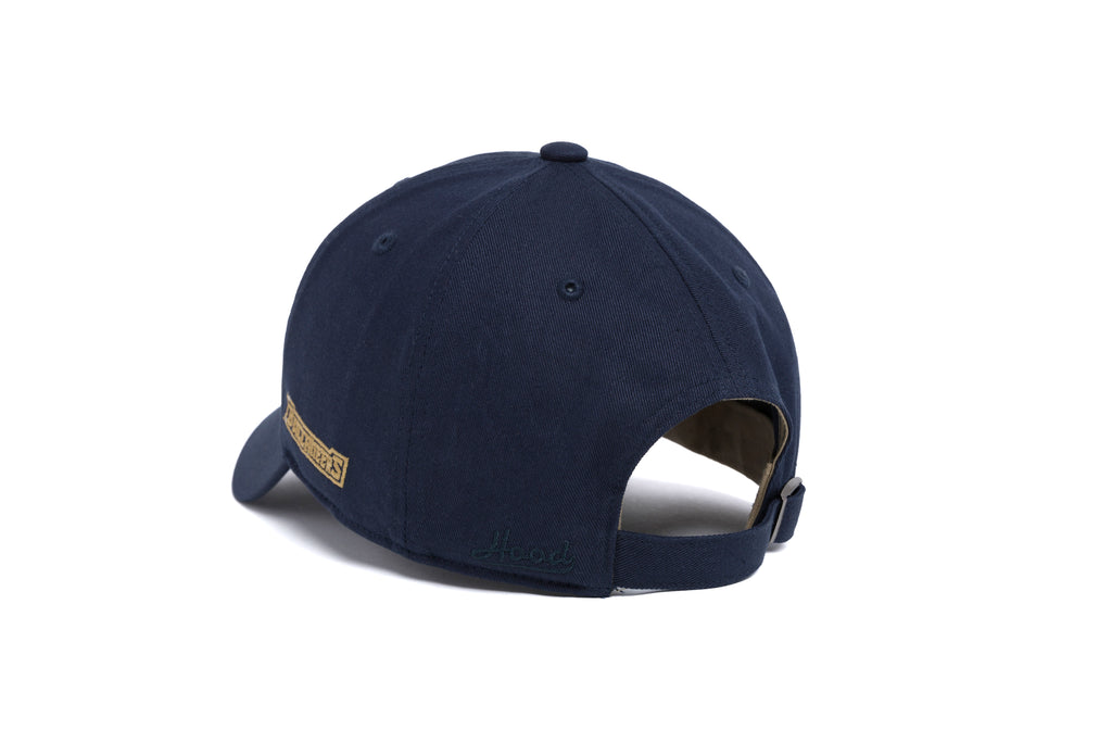 CHARLESTON SOUTHERN Offset Logo Dad