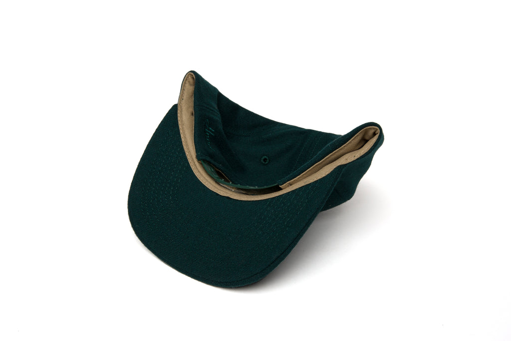 Carol City Microscript