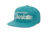 Charlotte
    wool baseball cap indicator