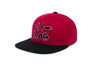 Chicago Hieroglyphic
    wool baseball cap indicator