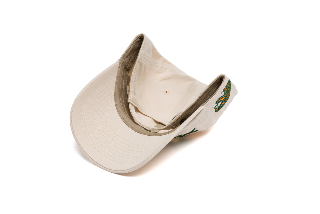 FAMU Journey Chain Dad