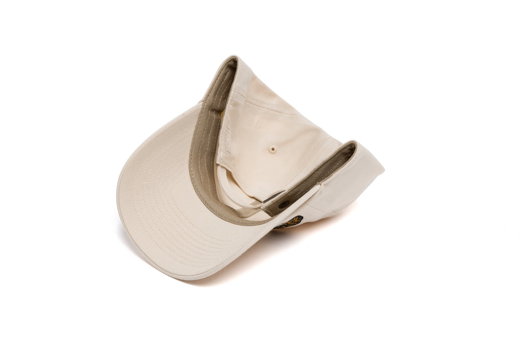 FAMU Offset Logo Dad