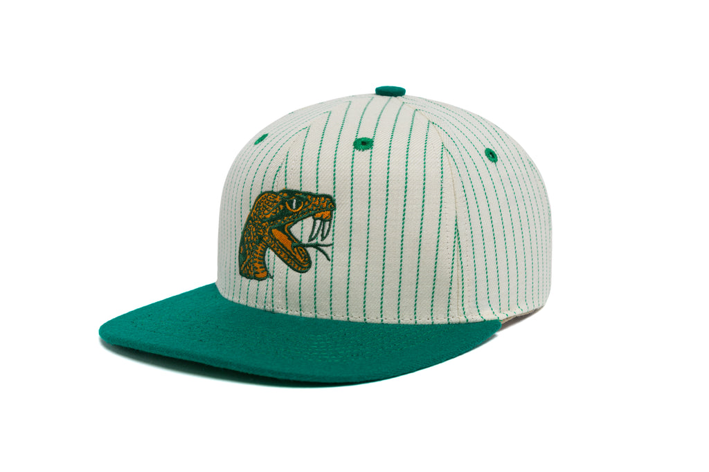 FAMU Logo Pinstripe Two Tone