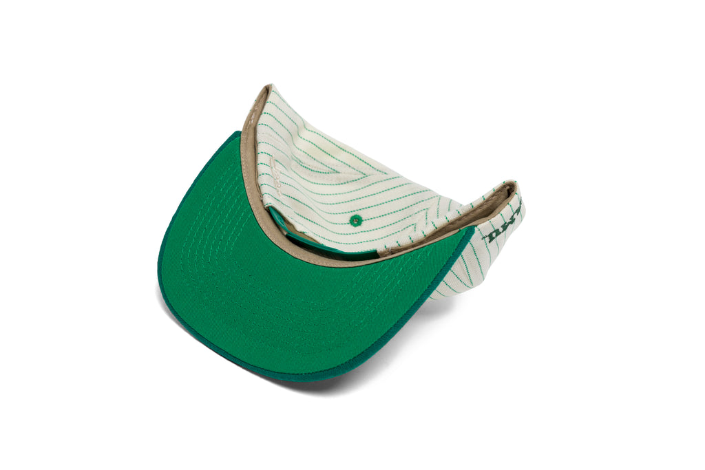 FAMU Logo Pinstripe Two Tone
