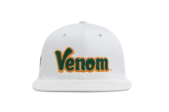 FAMU Wordmark 3D Chain Japanese Twill wool baseball cap