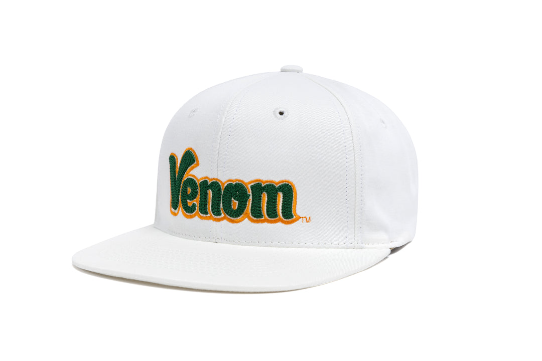 FAMU Wordmark 3D Chain Japanese Twill wool baseball cap