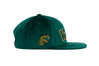 FAMU Wordmark 3D Chain Velvet
    wool baseball cap indicator