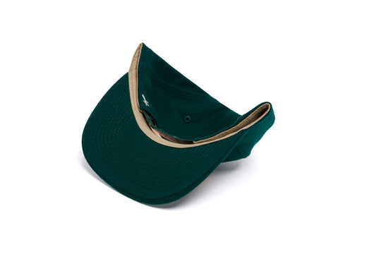 FAMU Wordmark 3D Chain Wool II wool baseball cap