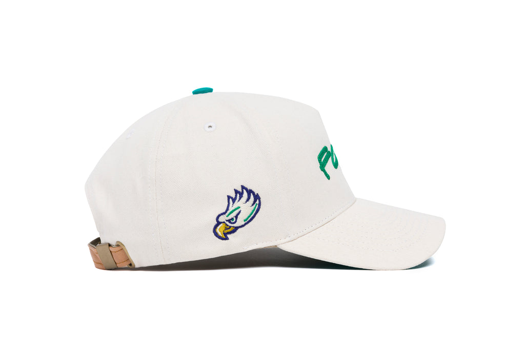 FGCU Neutra 3D Chain Brushed Twill 5-Panel