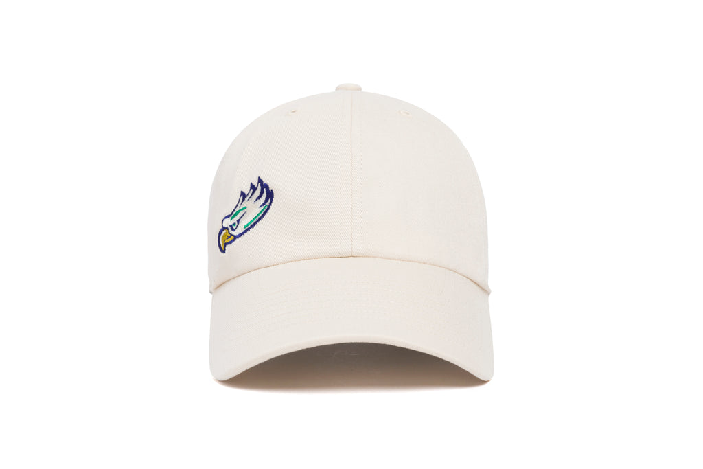 FGCU Offset Logo Dad