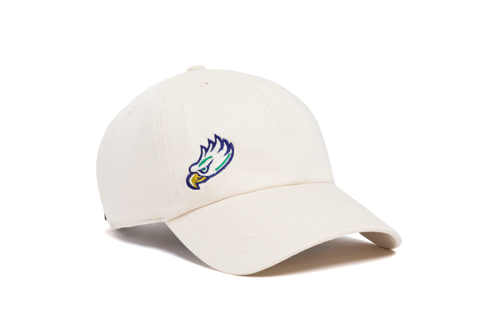 FGCU Offset Logo Dad