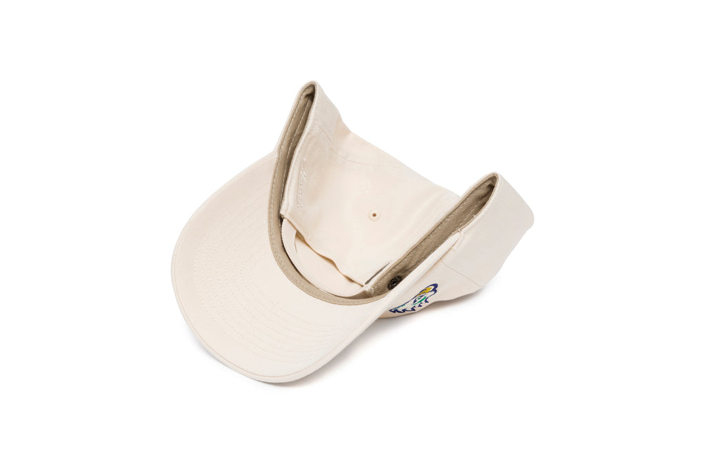 FGCU Offset Logo Dad