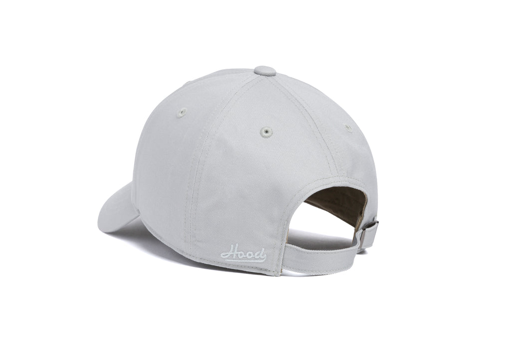 FGCU Offset Logo Dad