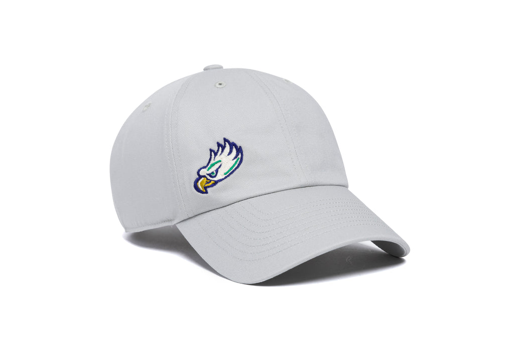 FGCU Offset Logo Dad