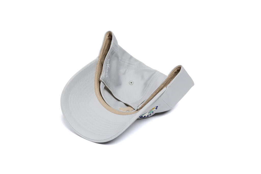 FGCU Offset Logo Dad