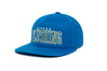 Flushing Art
    wool baseball cap indicator