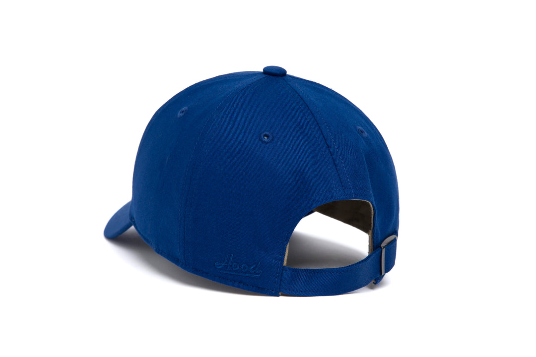 Flushing Microscript Dad wool baseball cap