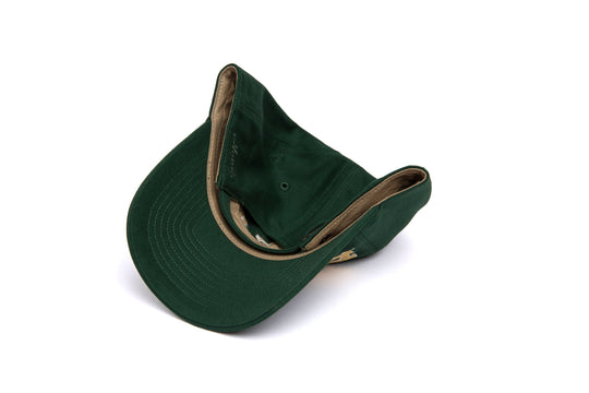 Fort Collins Chain Dad wool baseball cap