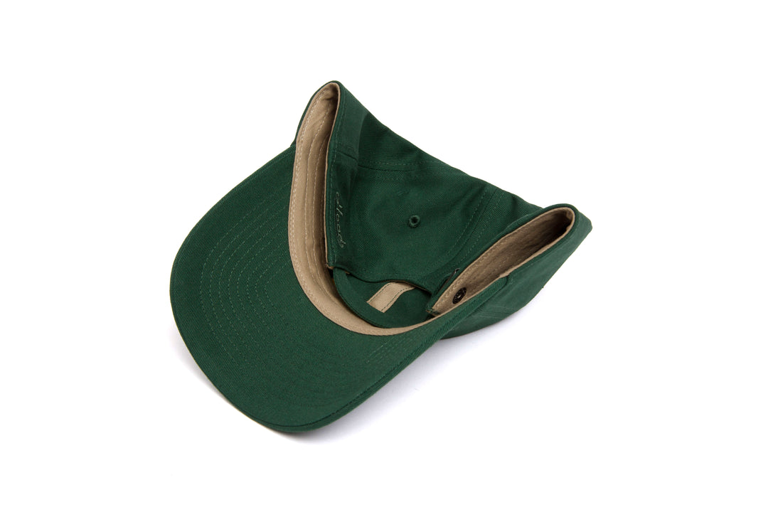 Fort Collins Microscript Dad wool baseball cap