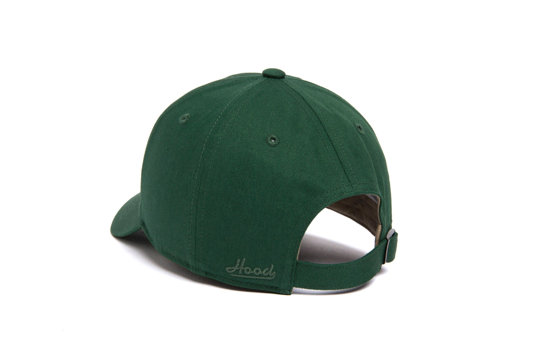 Green Bay Microscript Dad wool baseball cap