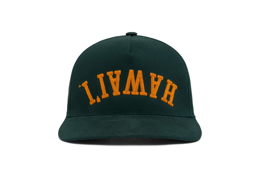 HAWAII Bottoms Up 3D Chain 5-Panel