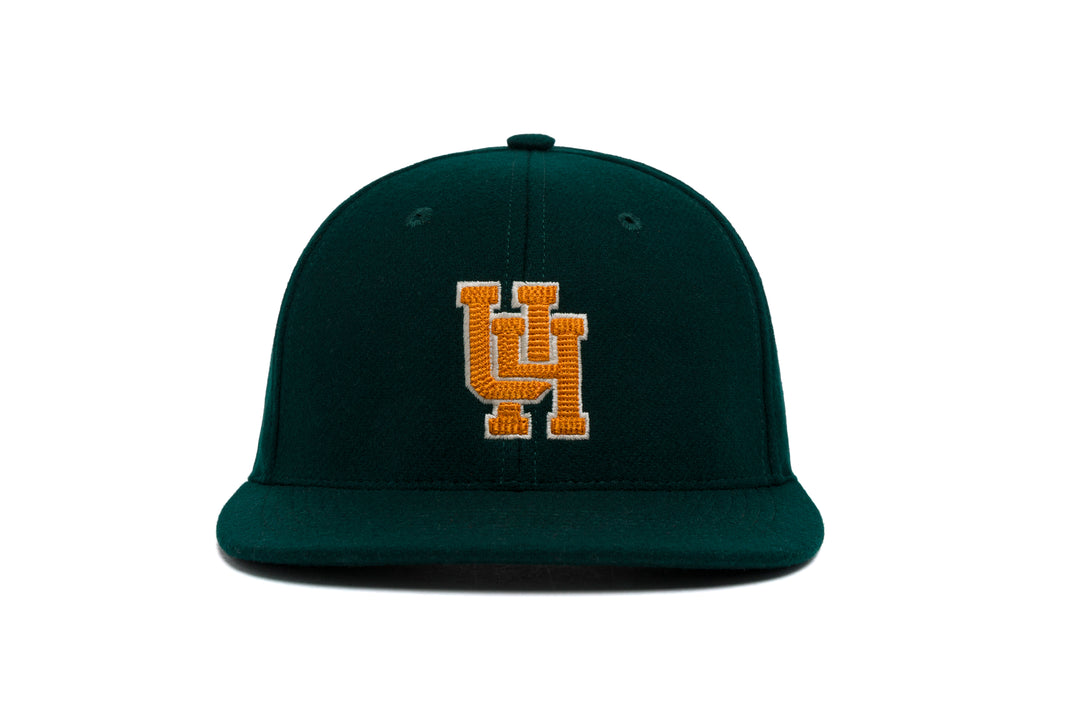 HAWAII Logo 3D Chain Wool wool baseball cap