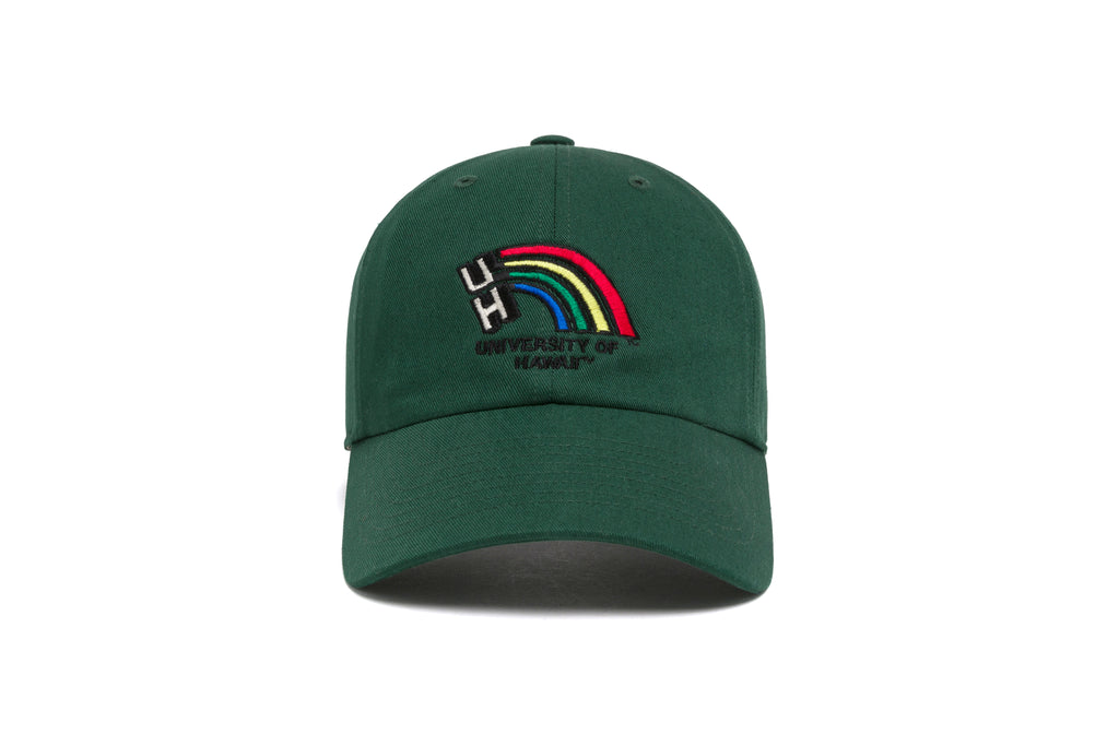 HAWAII Logo Dad