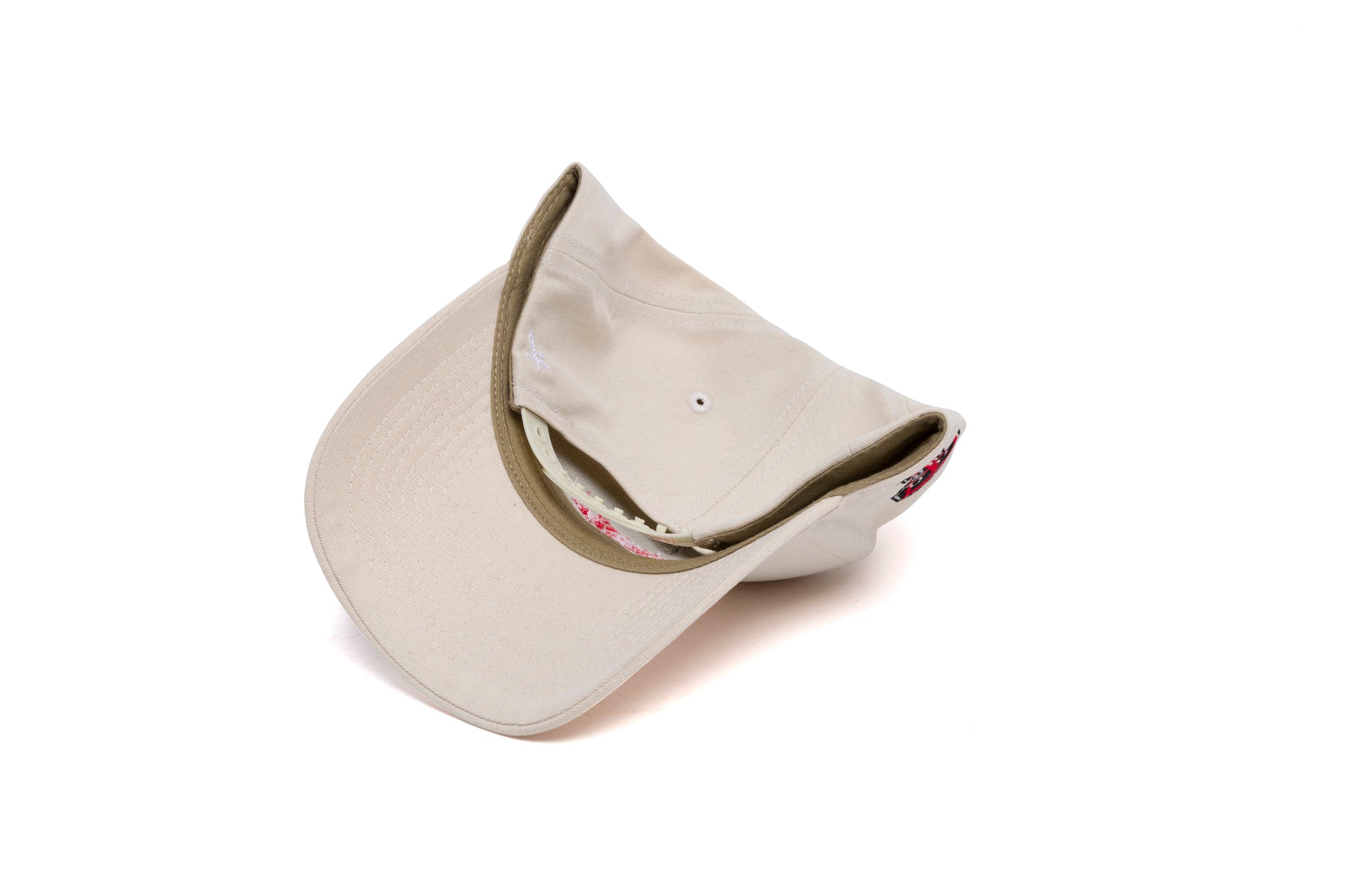 TEXAS TECH Name Chain Brushed Twill 5-Panel