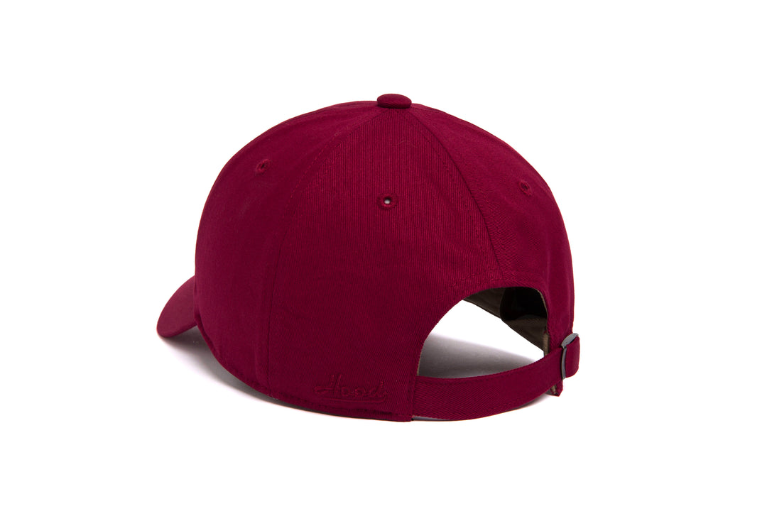 Houston Microscript Dad wool baseball cap