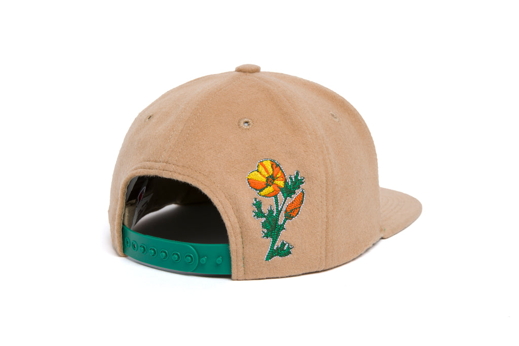 CA State Flower Cashmere