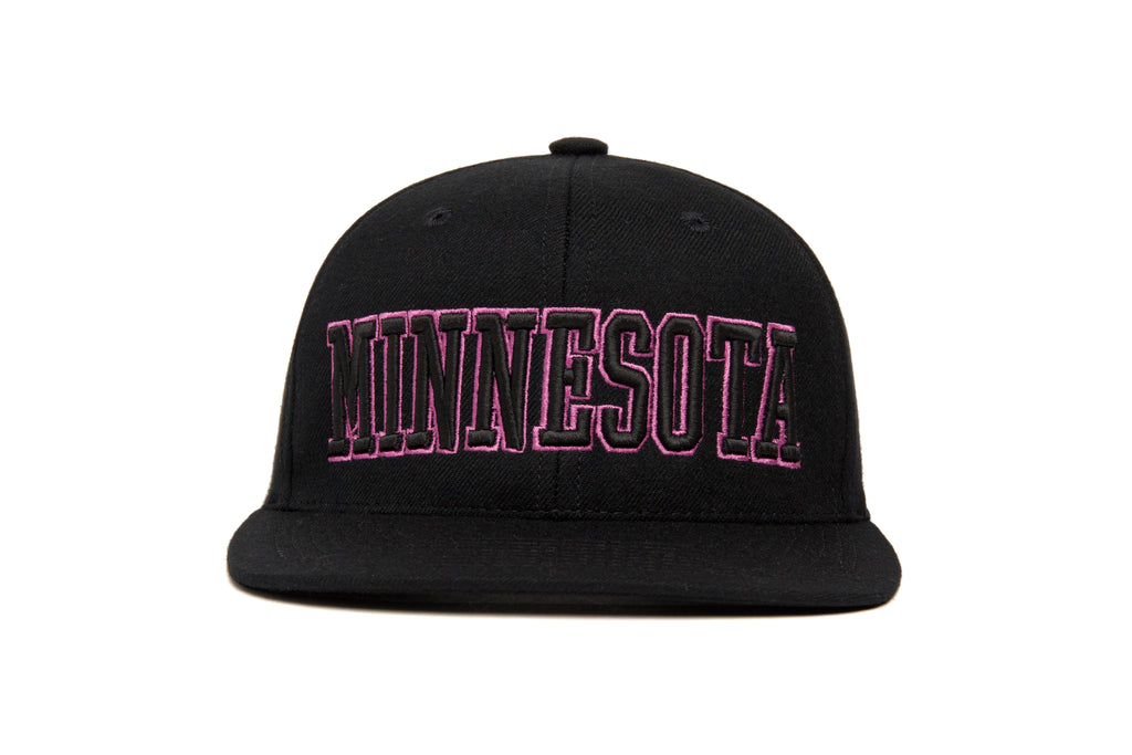 MINNESOTA 3D