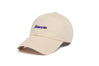 Minnesota Microscript Dad
    wool baseball cap indicator