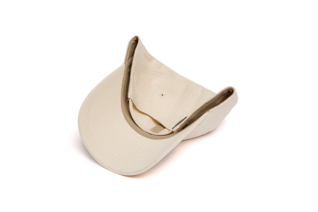 Minnesota Microscript Dad