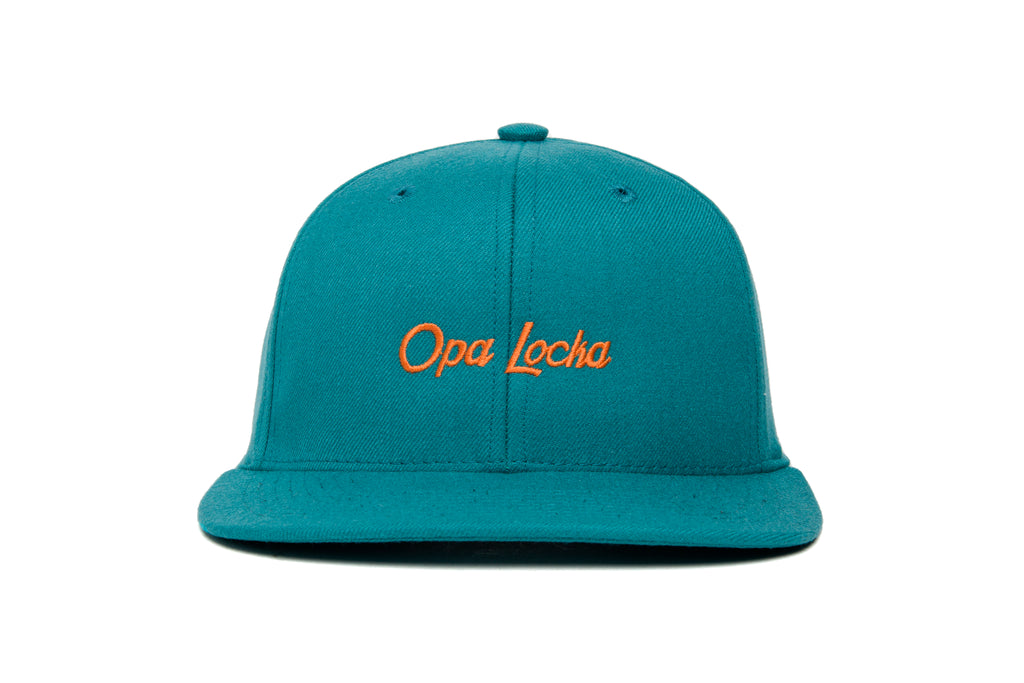 Opa Locka Microscript