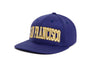 SAN FRANCISCO
    wool baseball cap indicator