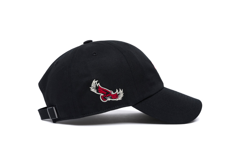 ST JOSEPH'S Name Dad